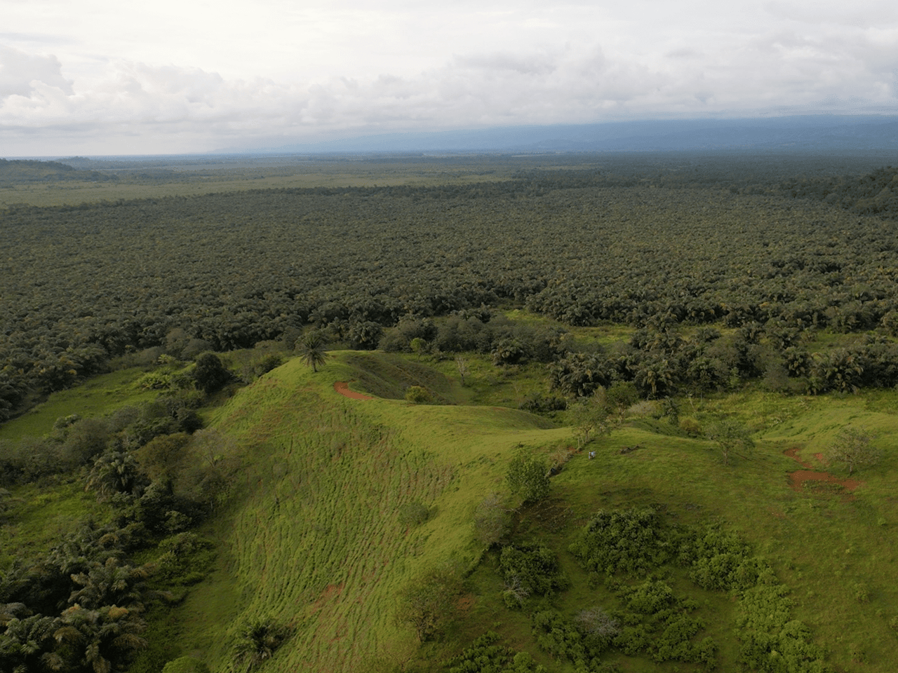 382 Acres of Sierpe River Wild Lands