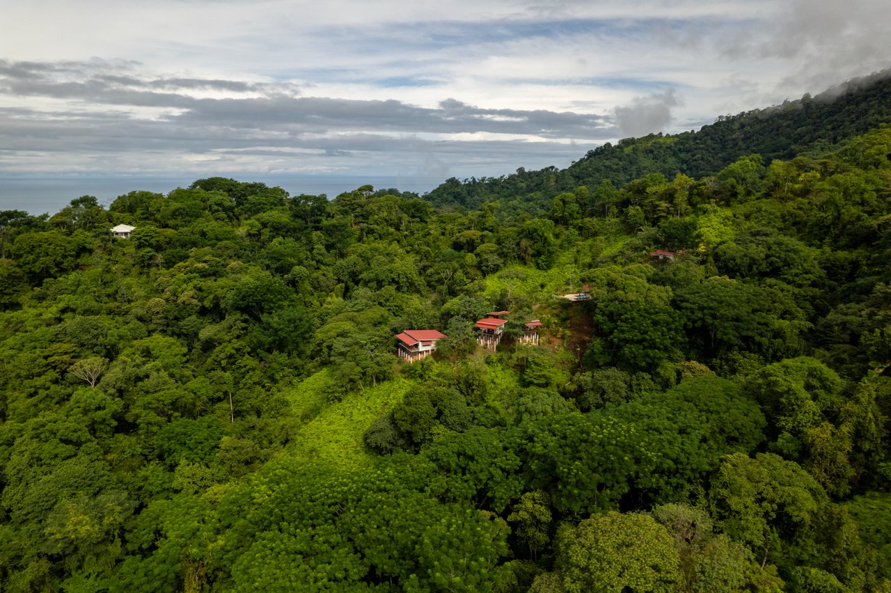 Boutique Jungle Hospitality Asset, Uvita, Puntarenas