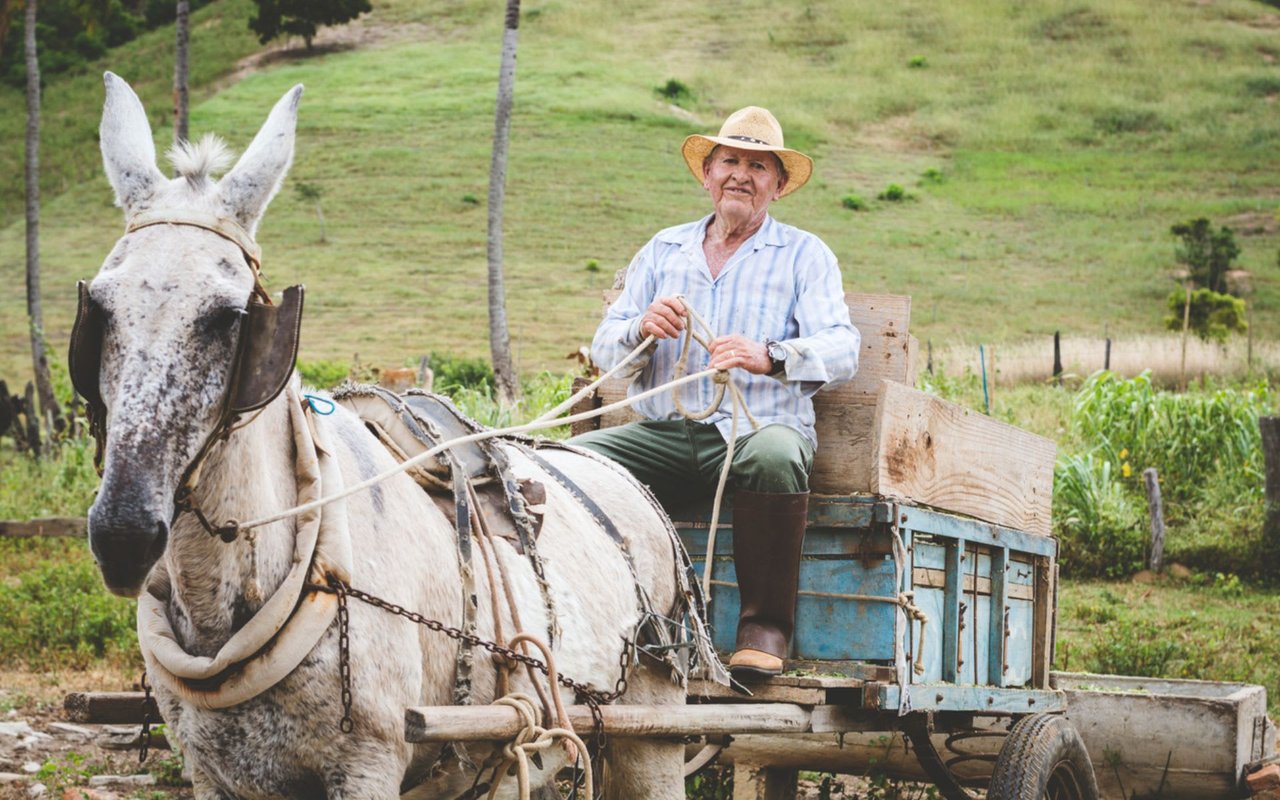 Exploring Nicoya Peninsula: A Blue Zone Oasis for Longevity