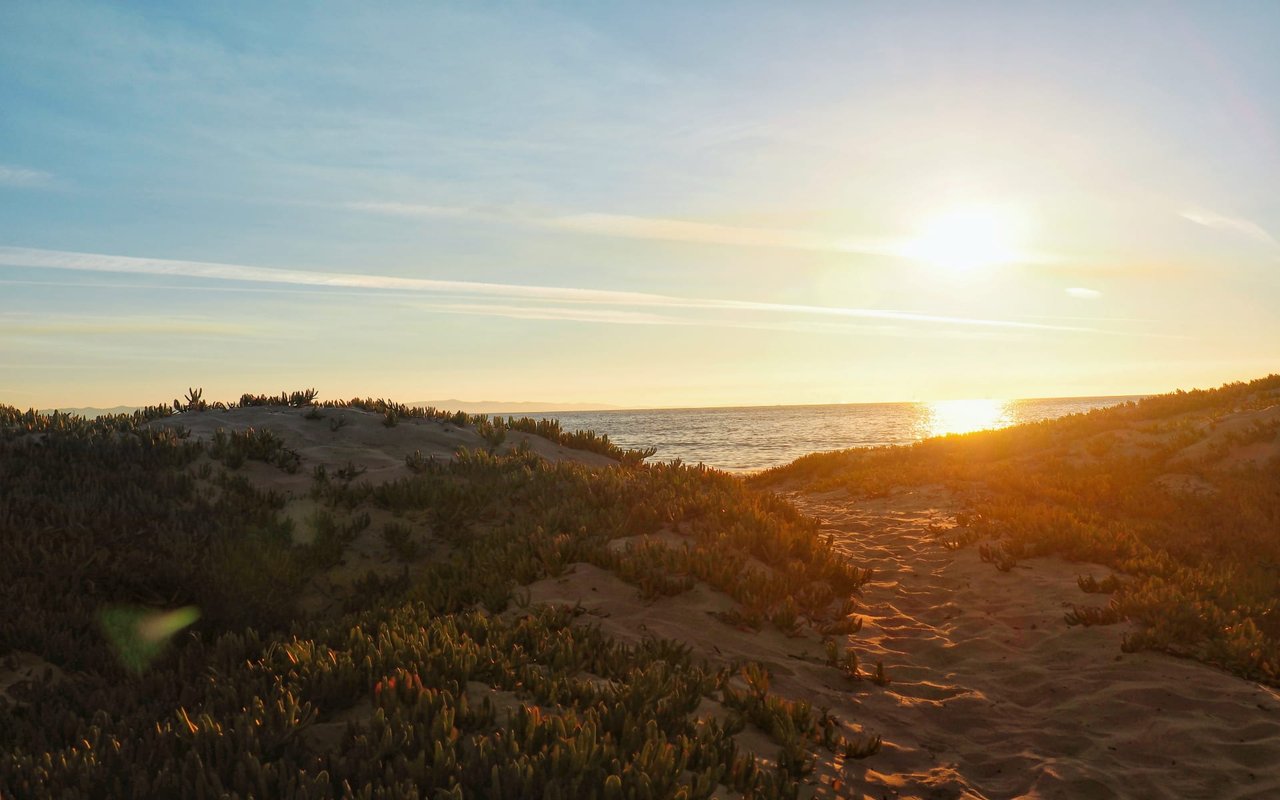 Carpinteria