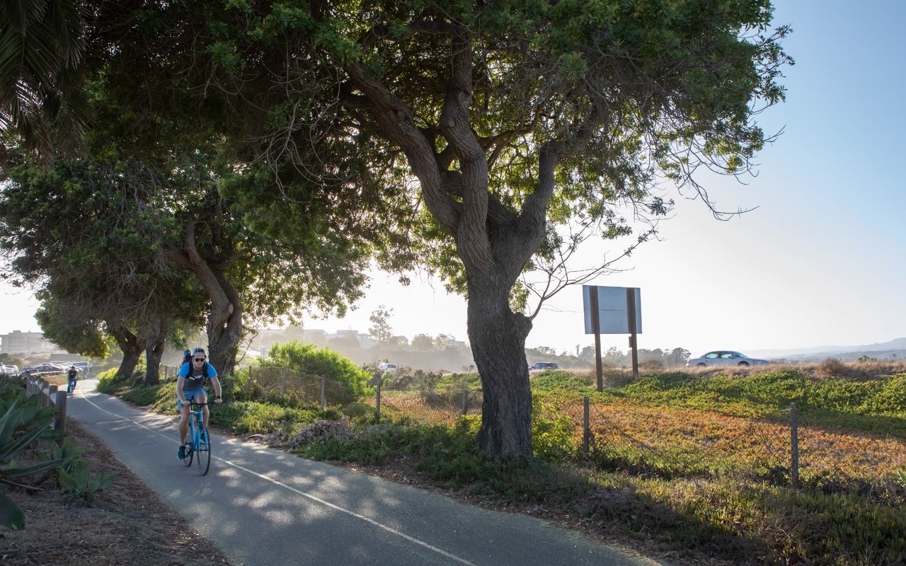 Goleta