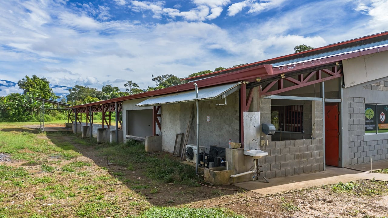 Industrial Plant for Sale in Pérez Zeledón, Costa Rica | 