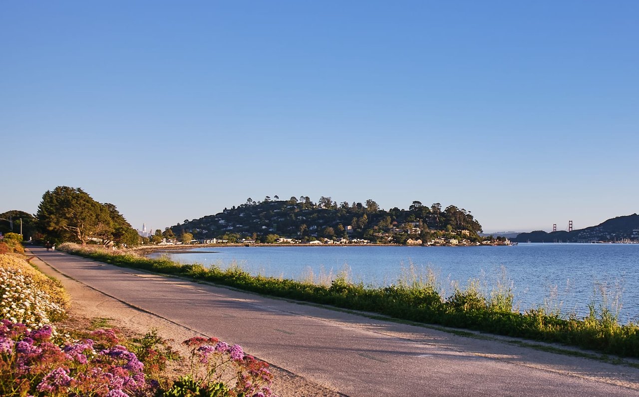 Marin Community and Real Estate Market Report - 3/16/21