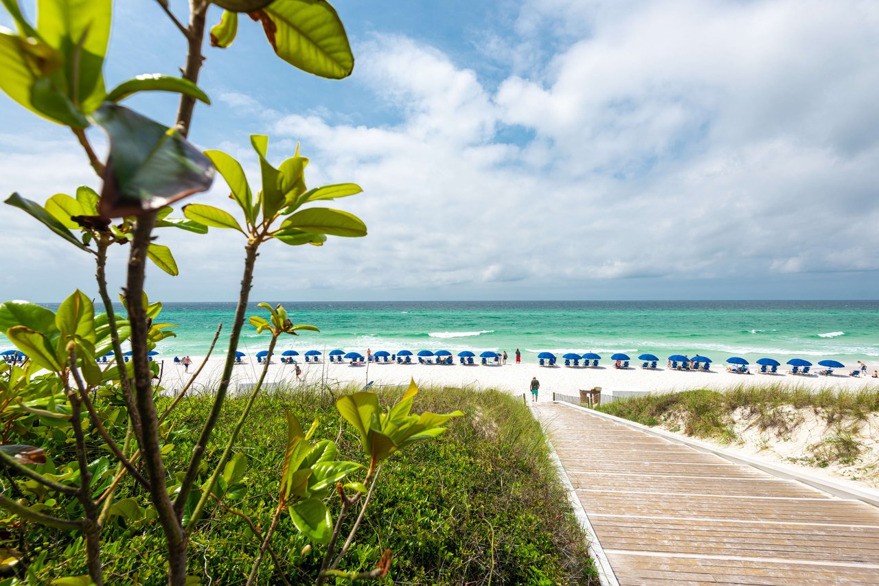 The Majestic Beauty of 30A's Famous White Beaches