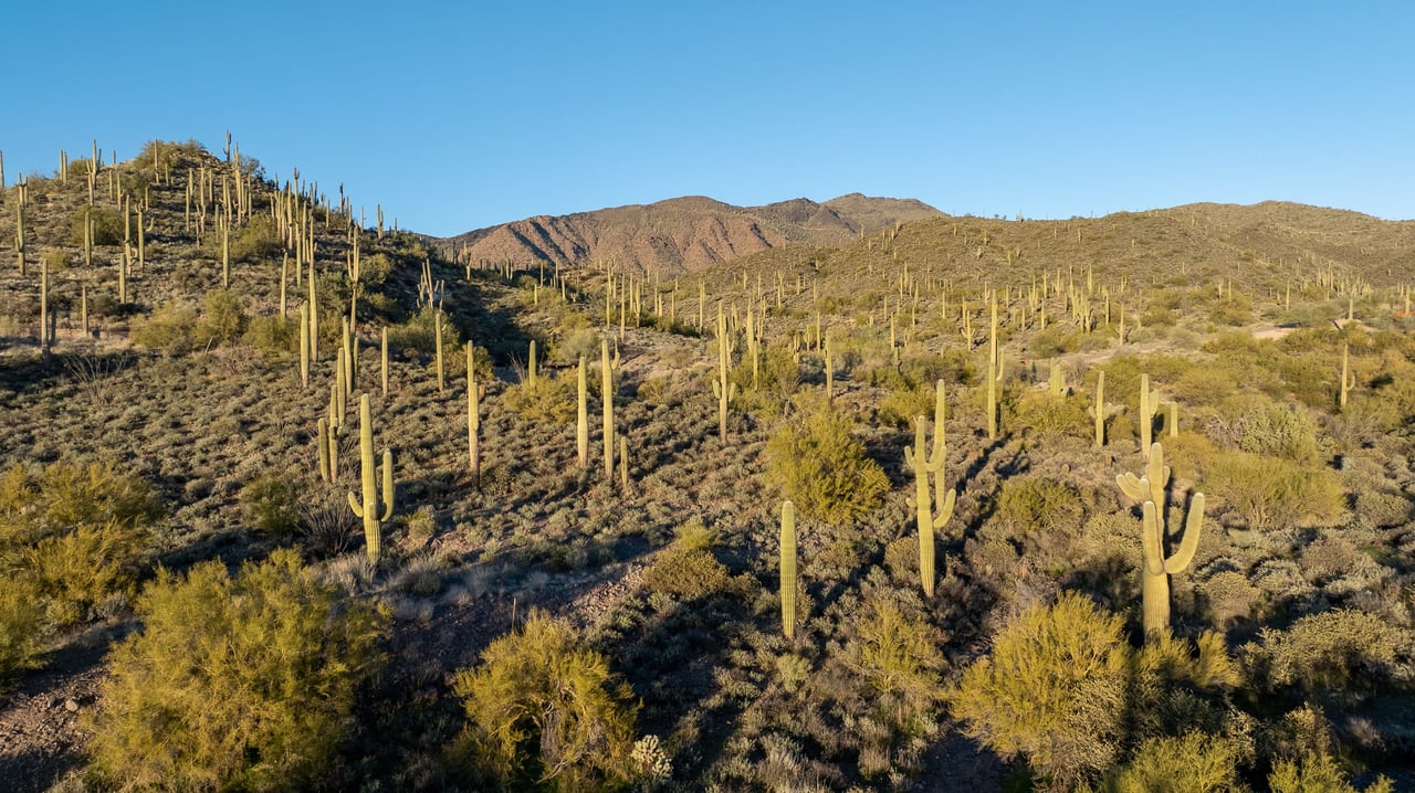 Stagecoach in Continental Mountain Estates in Cave Creek