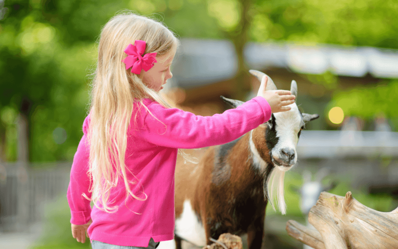 The 7 Best Petting Zoos and Animal Farms in Indiana