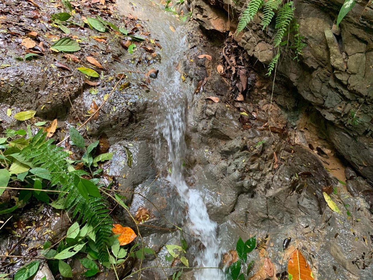 Prime 286-Acre Ocean View Property for Sale Near Quepos, Costa Rica – Ideal for Development