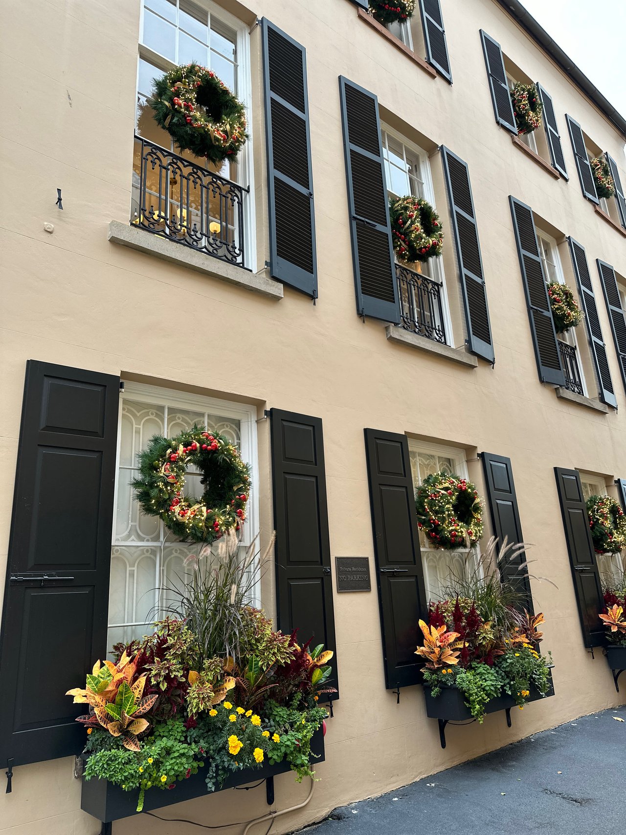 Fresh Greenery for Holiday Cheer