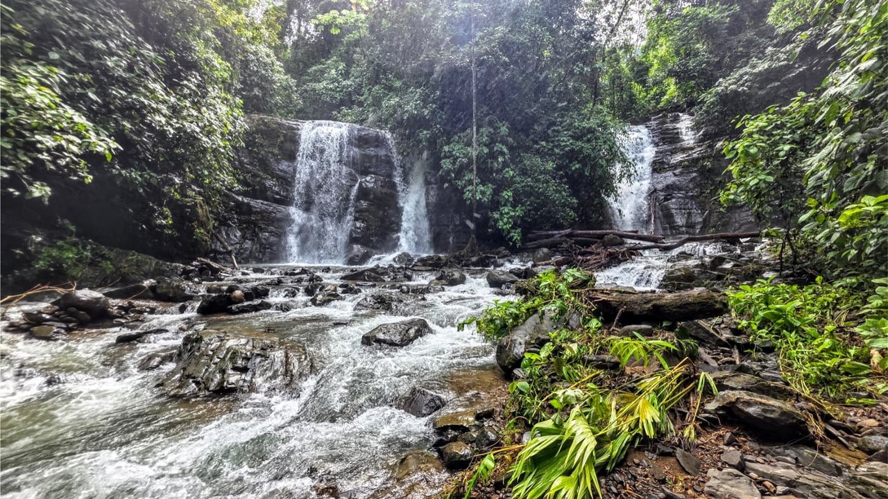 Rainforest Waterfall Acreage Estate, Dominical, Puntarenas