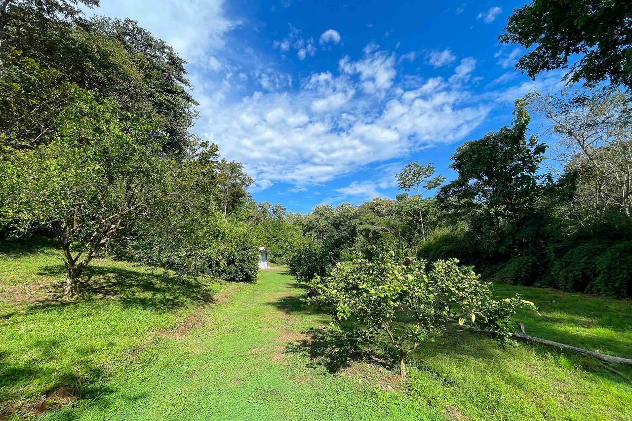 Tropical Paradise Farm in the Heart of Quepos