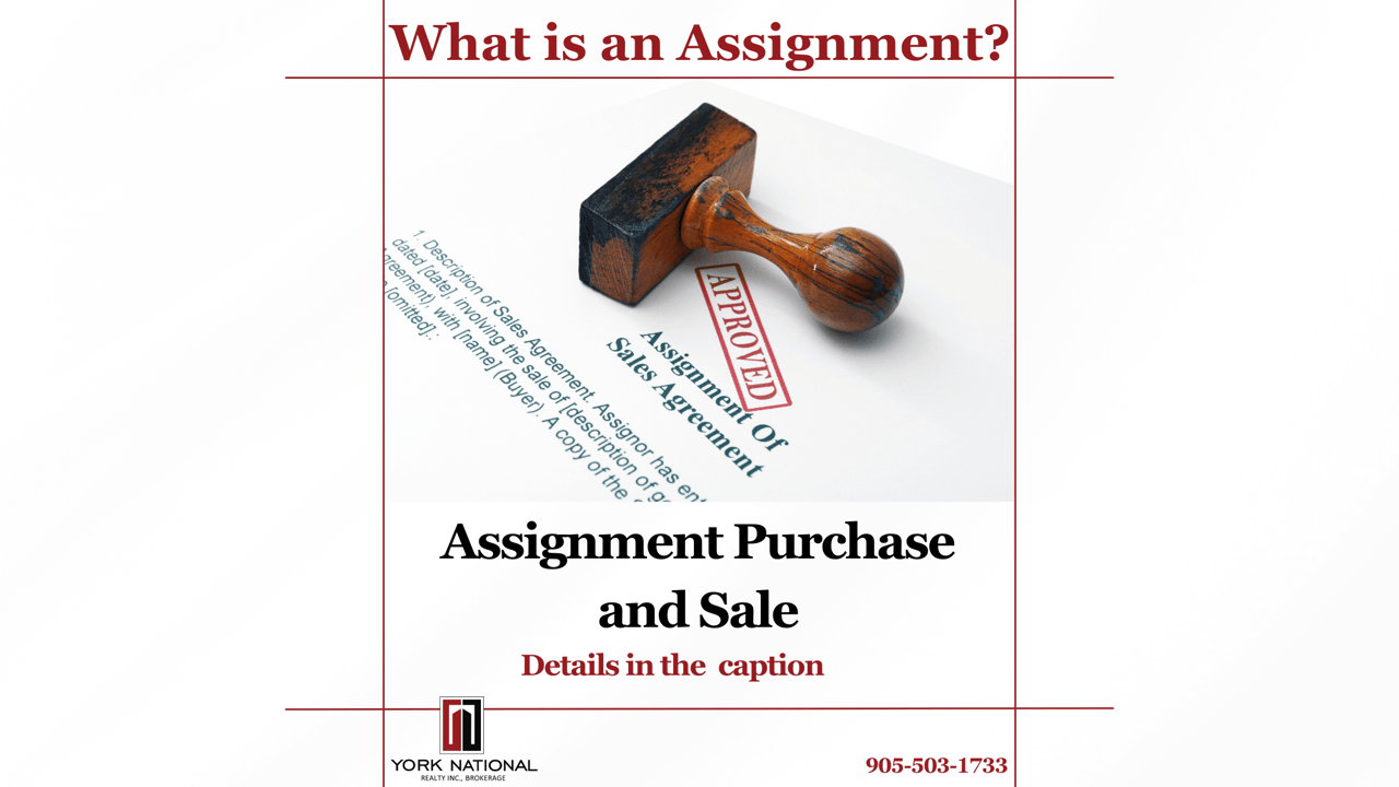 What is an Assignment? 