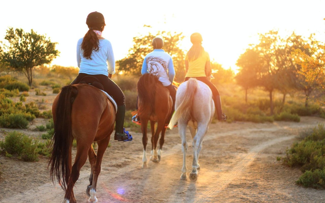 5 Ways to Enjoy the Outdoors near Collin County