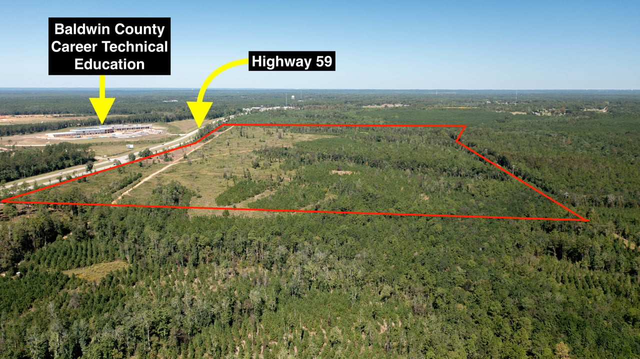 150 Acres on Hwy 59 In Loxley, AL - Will Subdivide