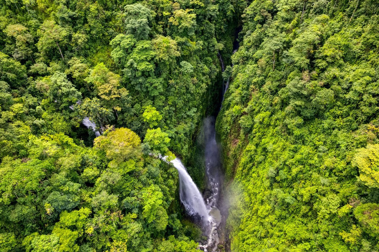 Private Waterfall Farm Cabin, Perez Zeledon, San Jose