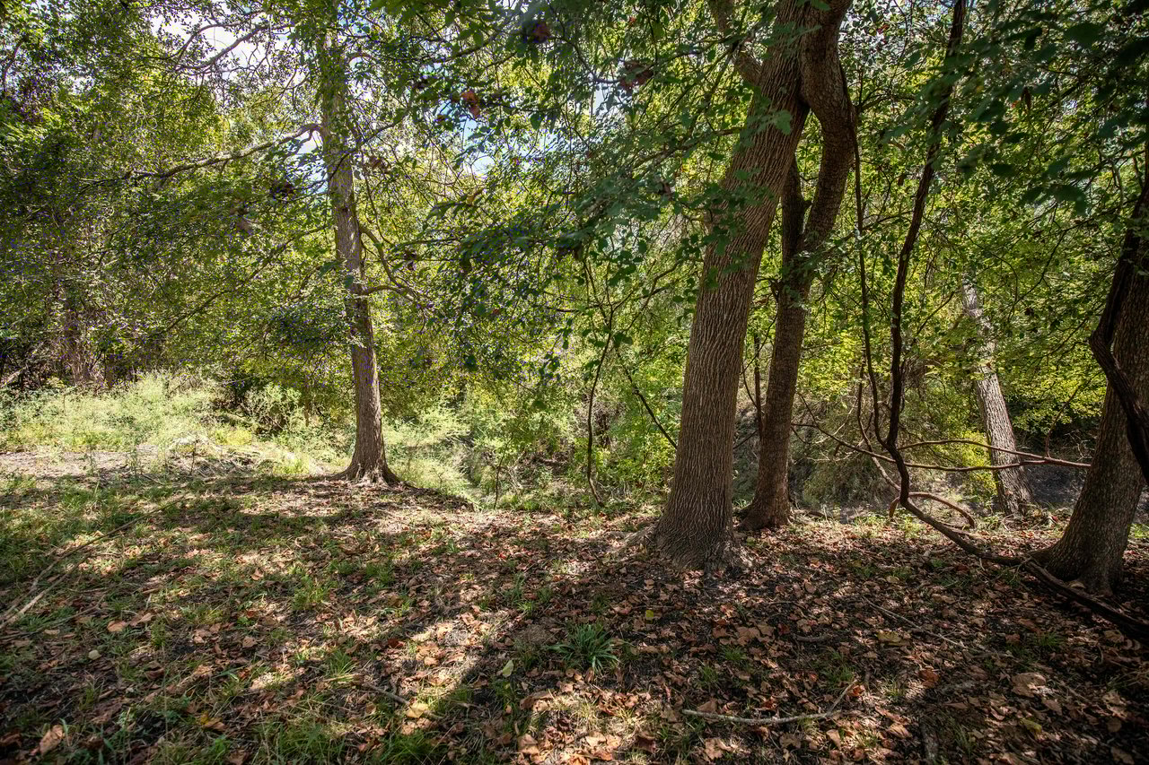Lovers Lane River Ranch | 140± Acres | DeWitt County