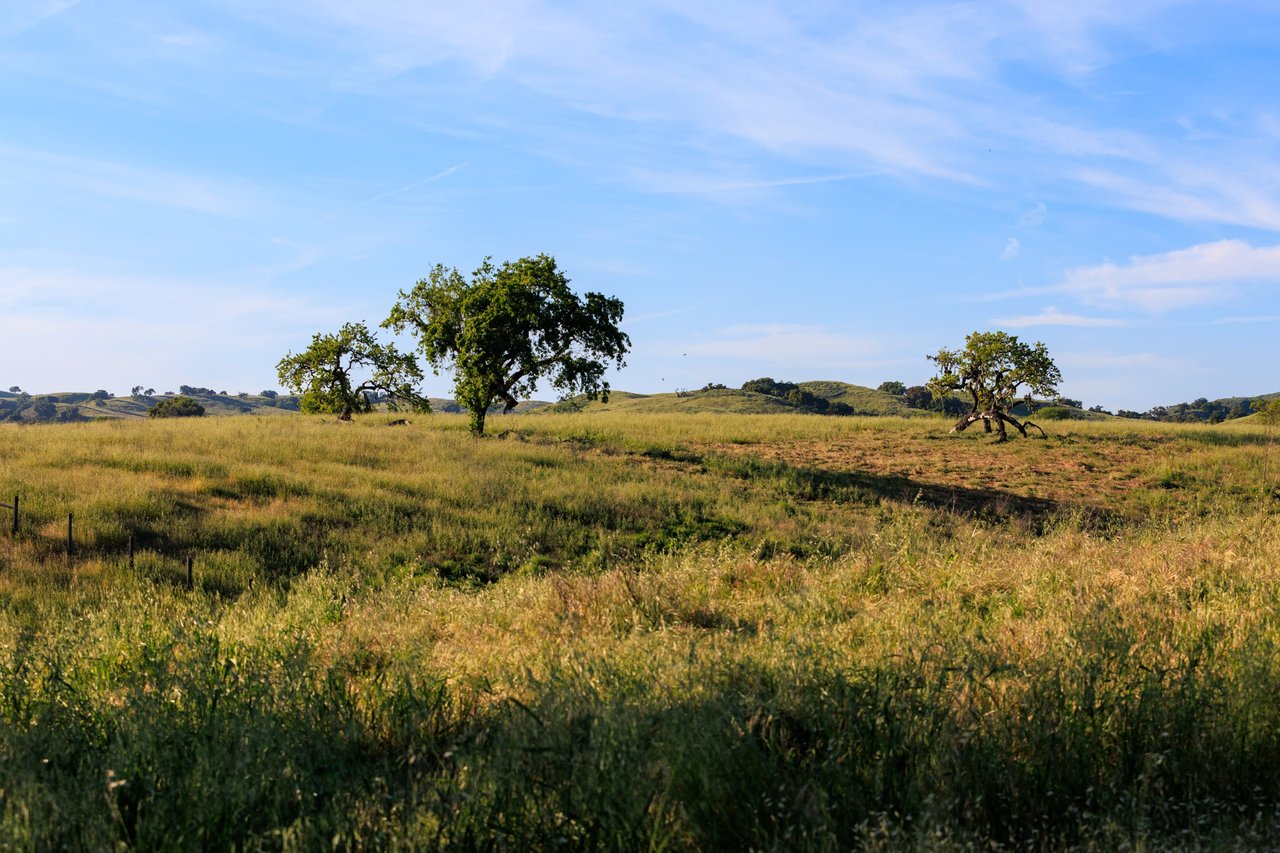 RARE LAND OPPORTUNITY IN LOS OLIVOS