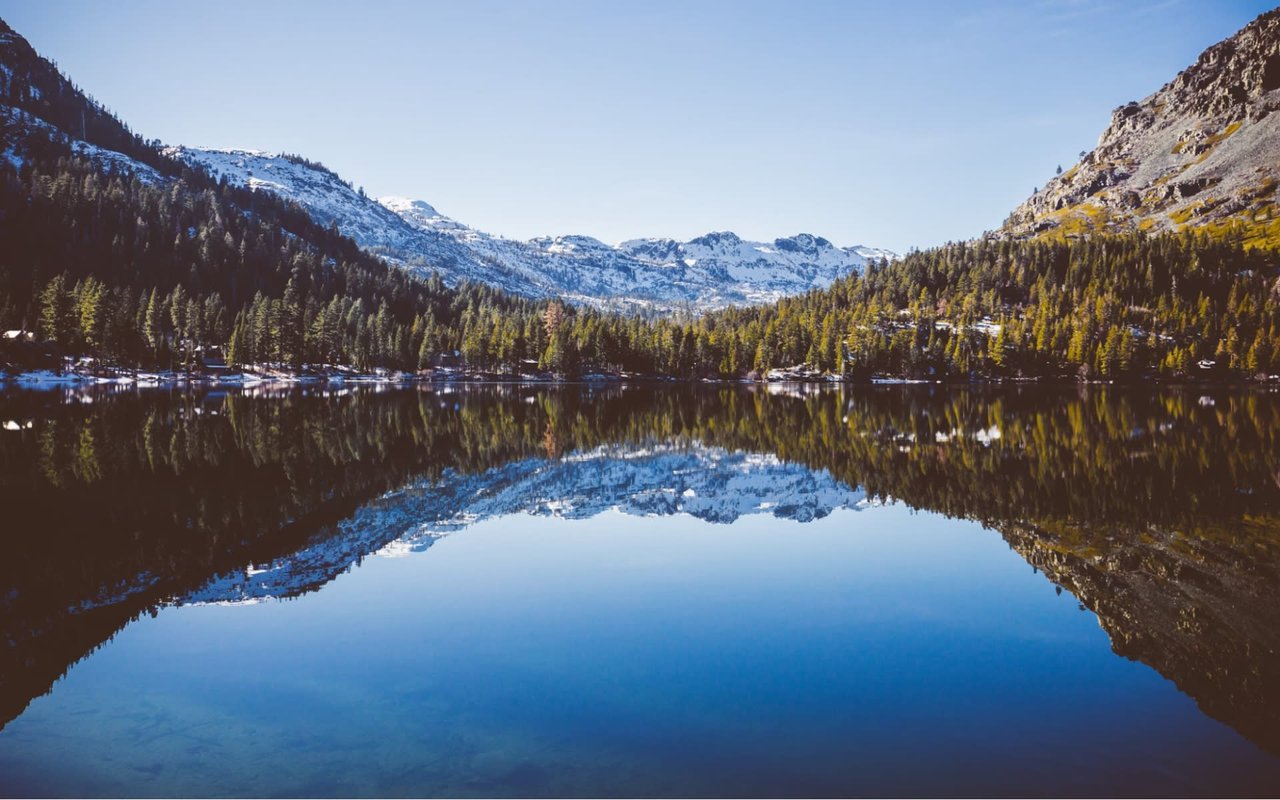 Tranquil alpine lake surrounded by snow-capped mountains and dense pine forests.