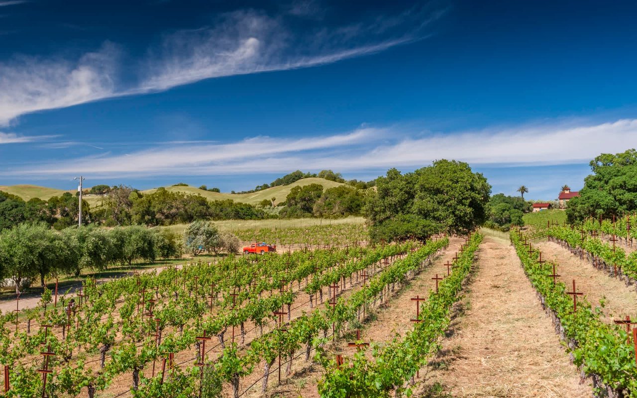 Lovall Valley Loop Road, Sonoma