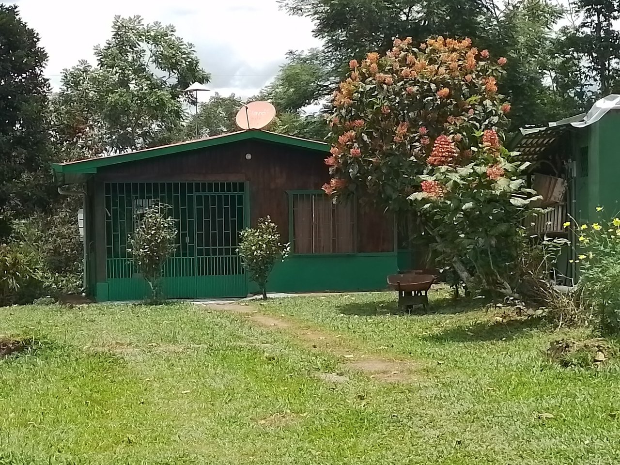 Coffee Farm Hacienda Estate, Perez Zeledon, San Jose