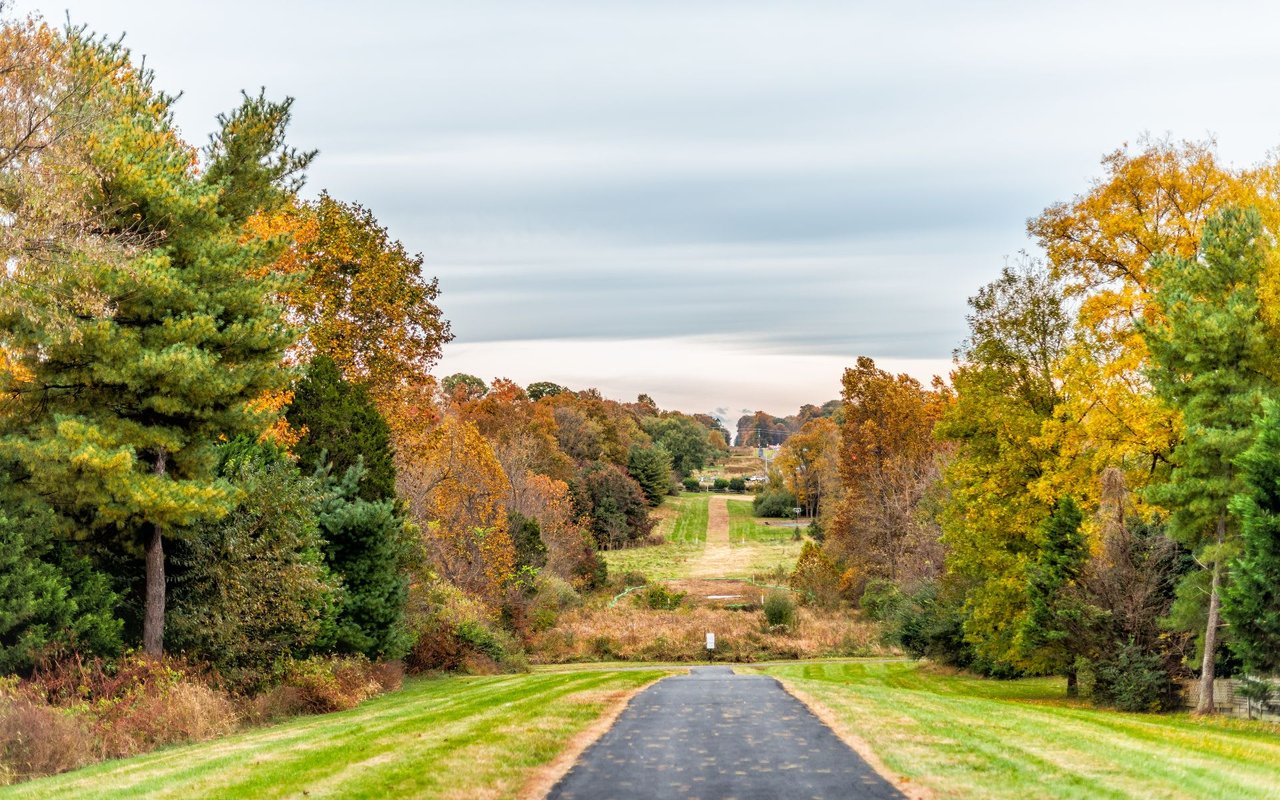 Cloudy, Autumn, rolling park scene