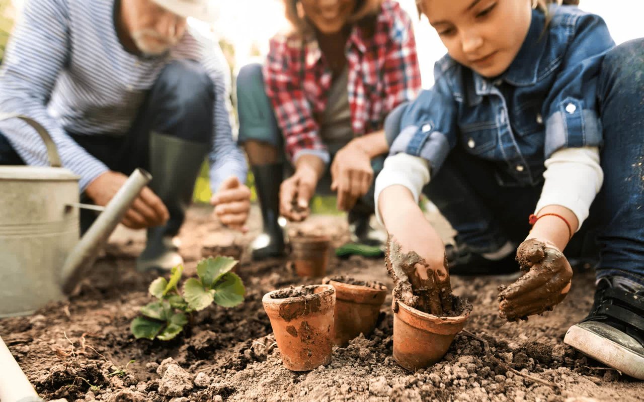 Marching Into Spring – What to Do with Your Garden Right Now