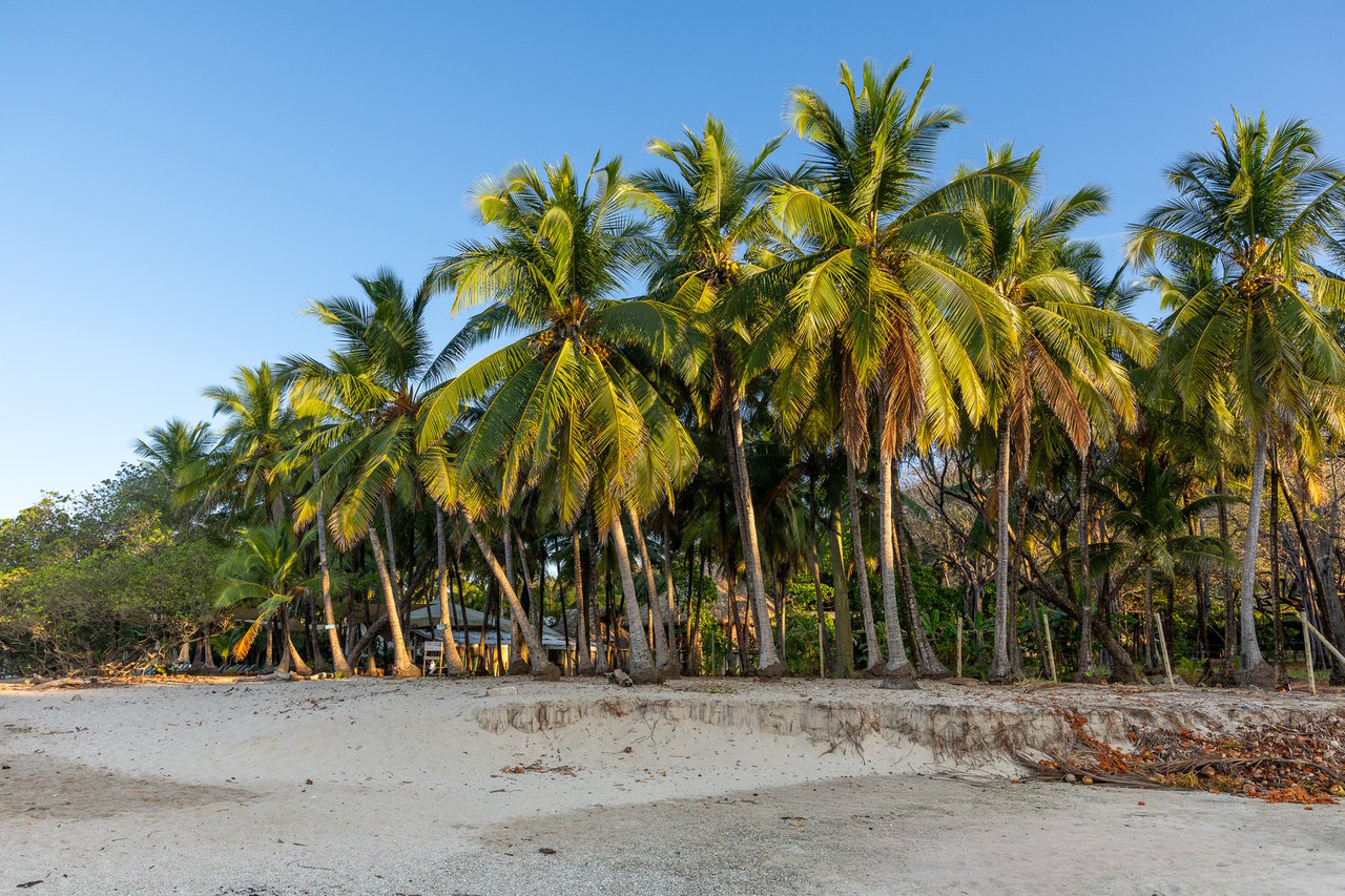 Prime Beachfront Concession Land, Santa Teresa, Puntarenas