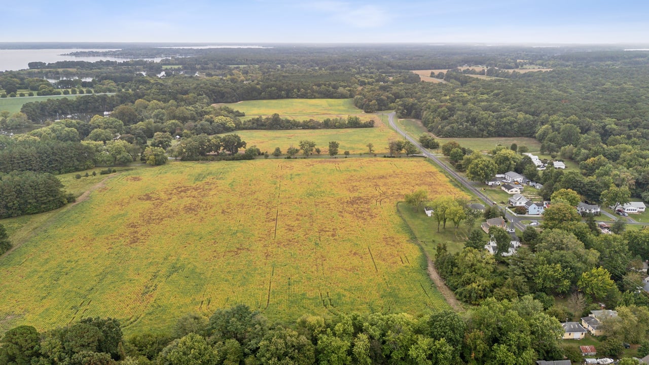 Maple Hall Farm