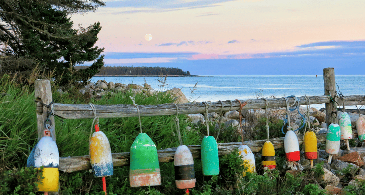 Welcome to Coastal Living: Embrace Summer in Maine cover