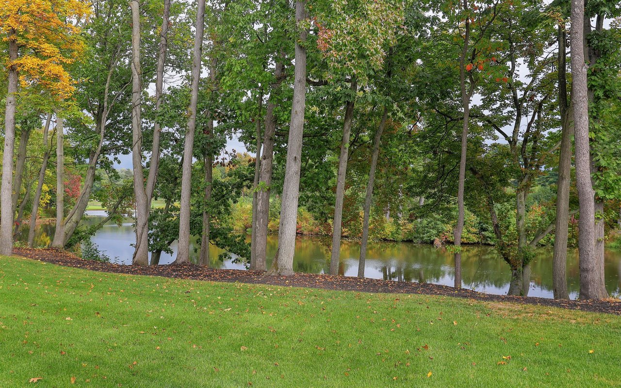 404 Tillinghast Turn