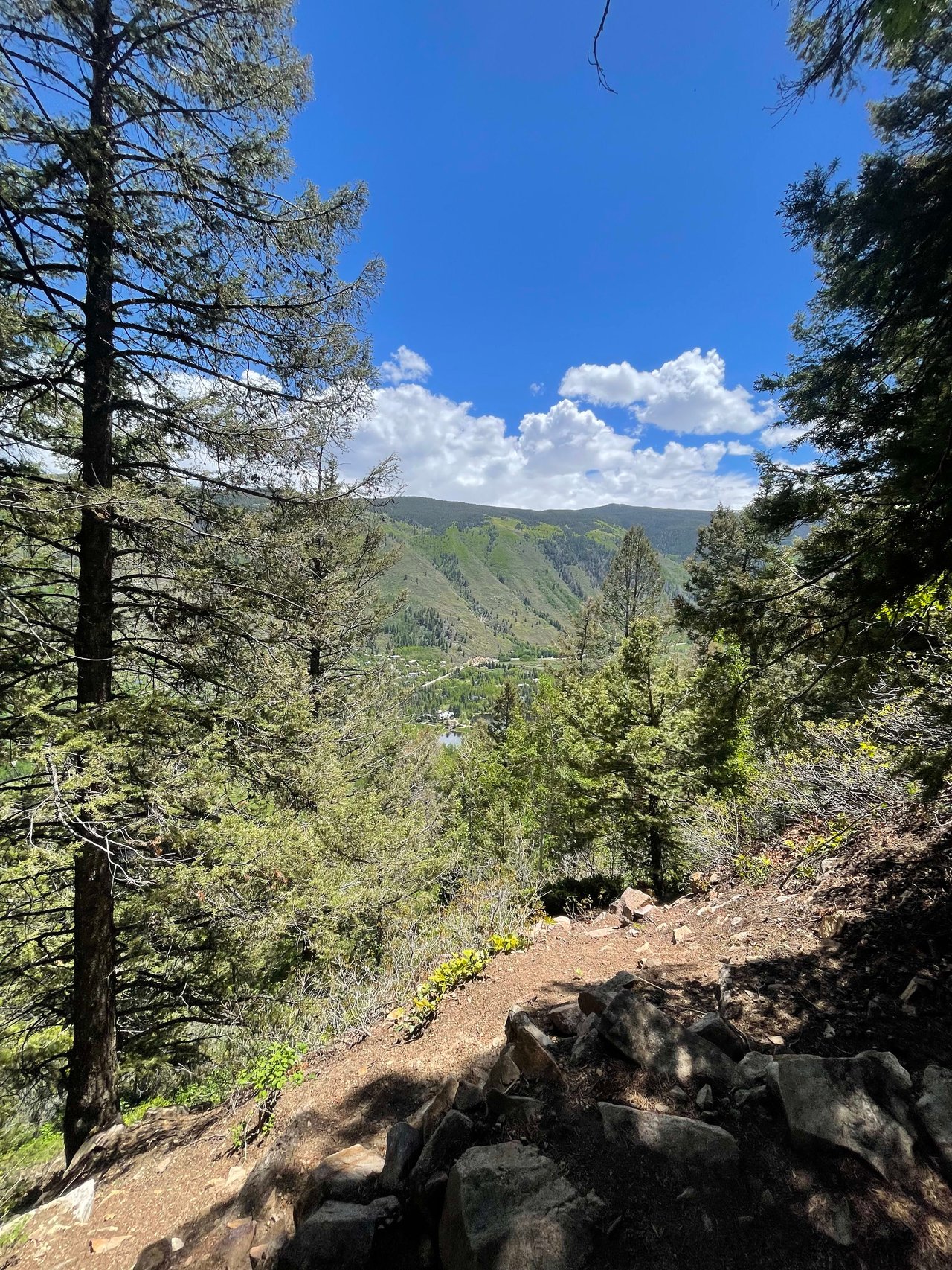 Hiking Aspen Trails - Ute Trail