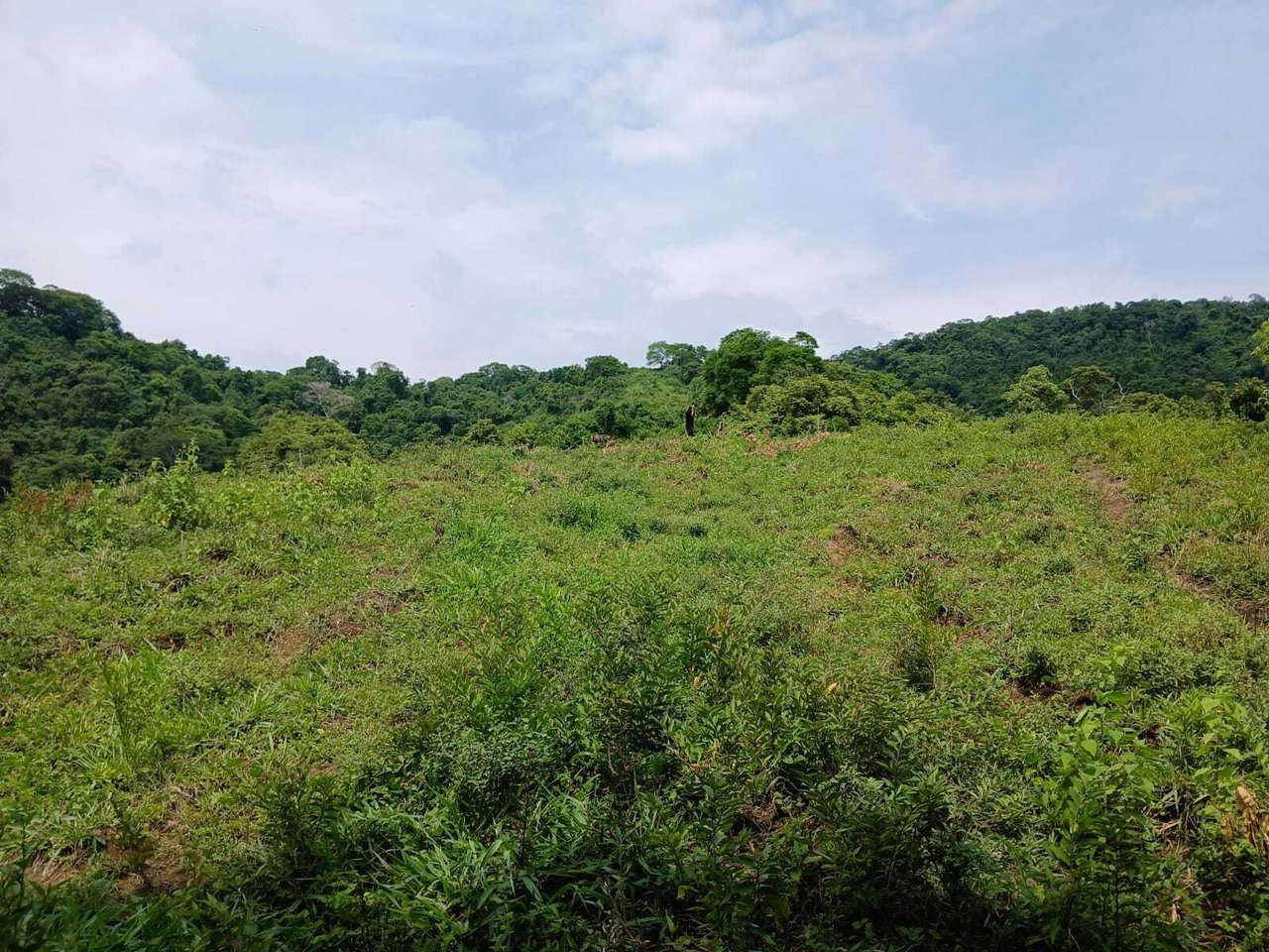 Exclusive Ocean View Development Parcel, Santa Teresa, Puntarenas