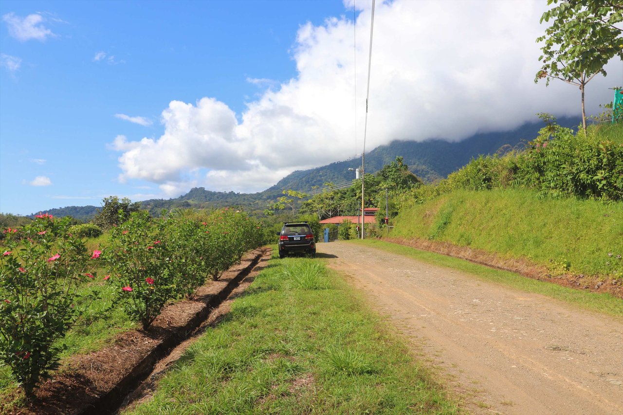 Large Mountain View Lot. 