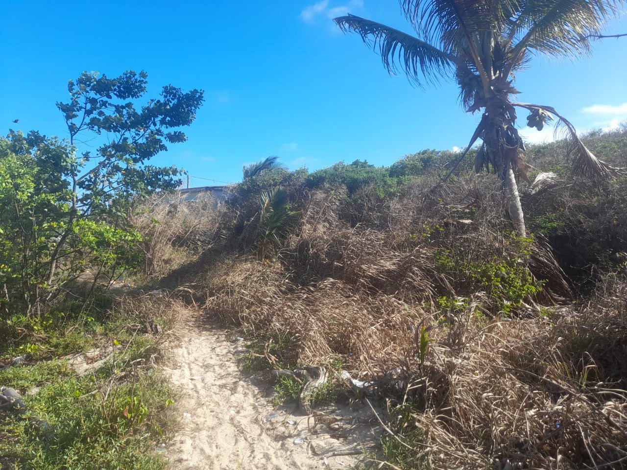 Charming 1.6 acre Caribbean Beachfront peninsular in Dangriga Town, Belize