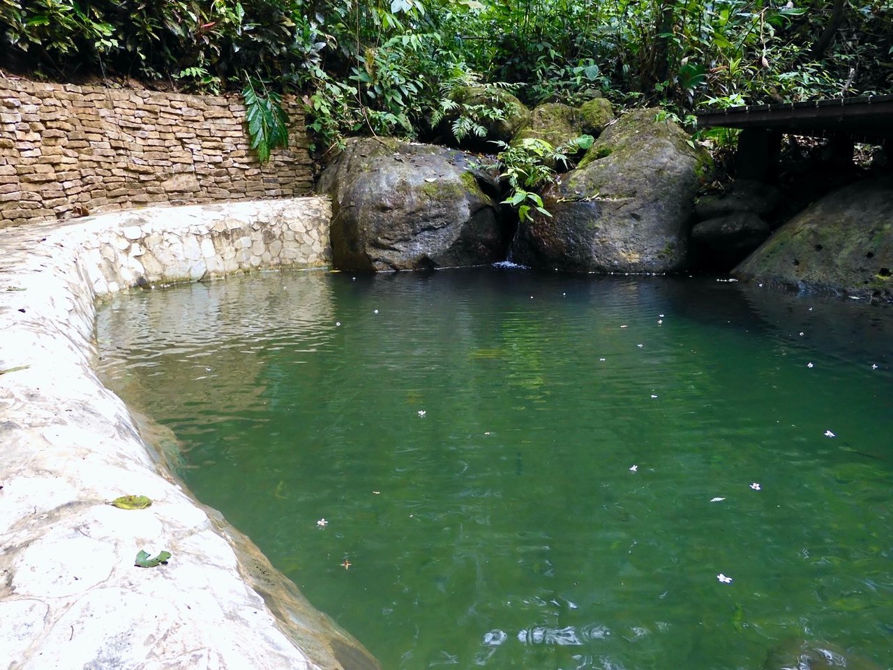 Mountain View Wellness Retreat, Perez Zeledon, San Jose