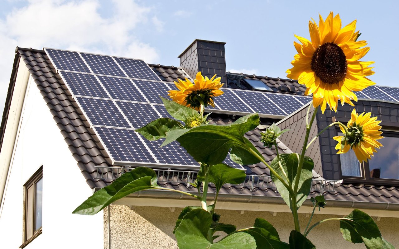 3 Ways Homeowners Can Reduce Reliance On Municipal Resources