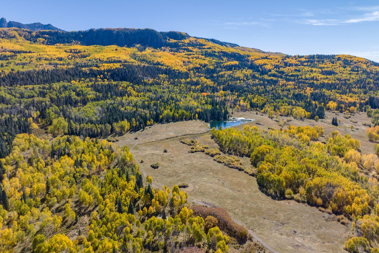 Mountain Bird Ranch