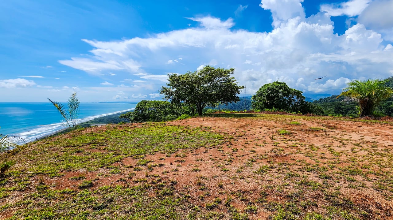 MANGO MANOR RIDGE PREMIER OCEAN VIEW PROPERTY IN DOMINICAL