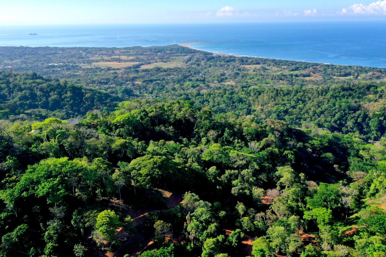 Whale Tail View Development Parcel, Uvita, Puntarenas