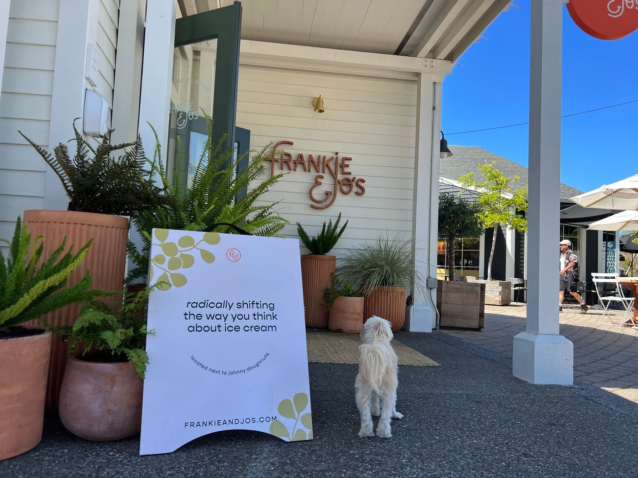 Frankie & Jo's: A Unique Experience in the Heart of Marin County