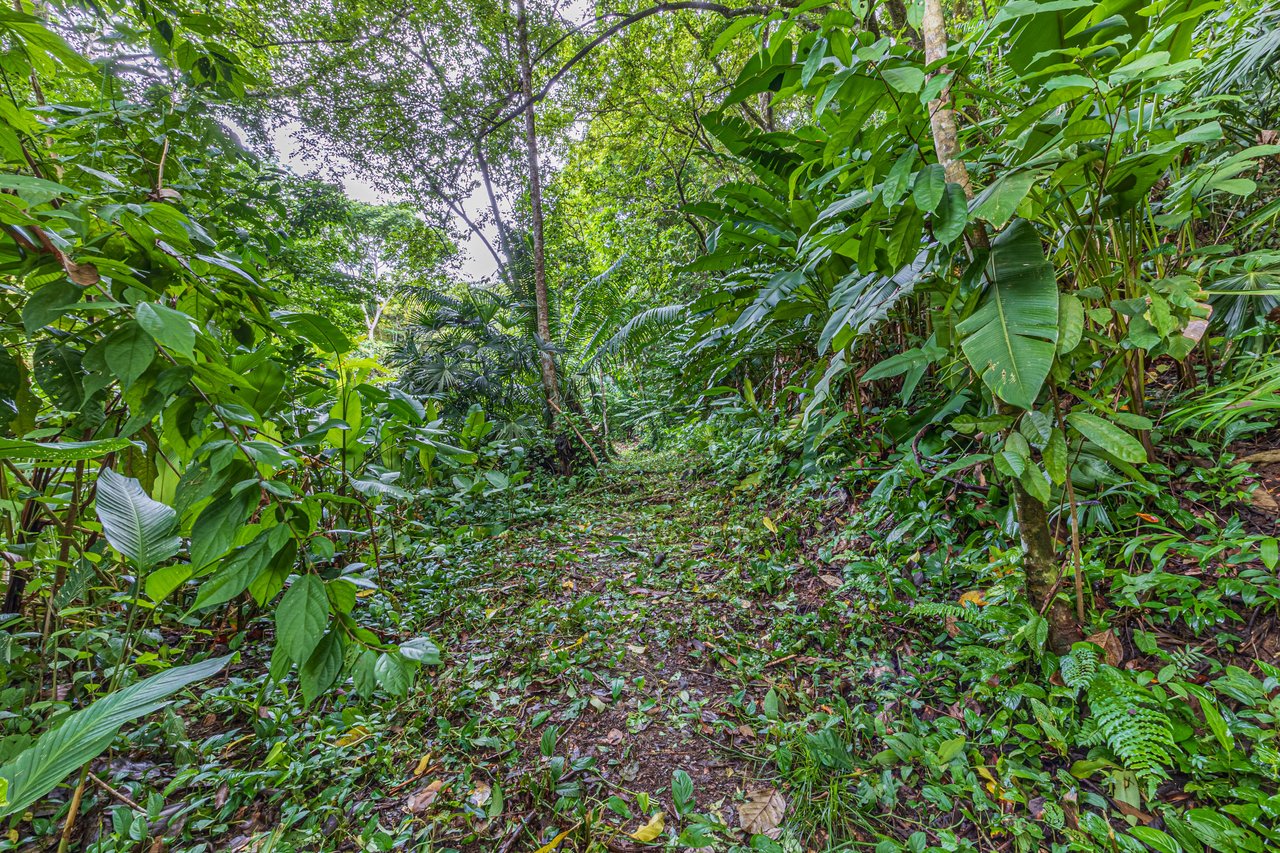 10-Acre Uvita Commercial Property with Existing Hotel & Highway Frontage – Development Potential Near the Beach