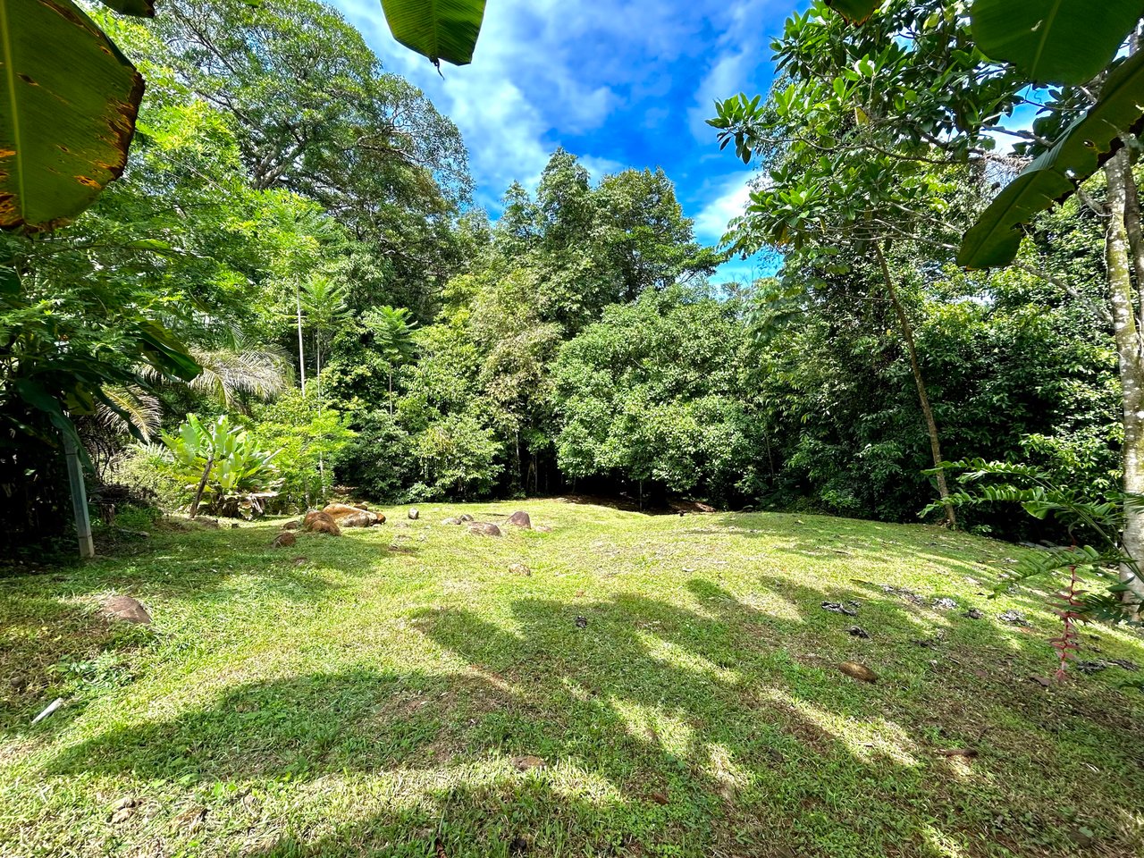 Secret Paradise Property in Altos de la Colonia