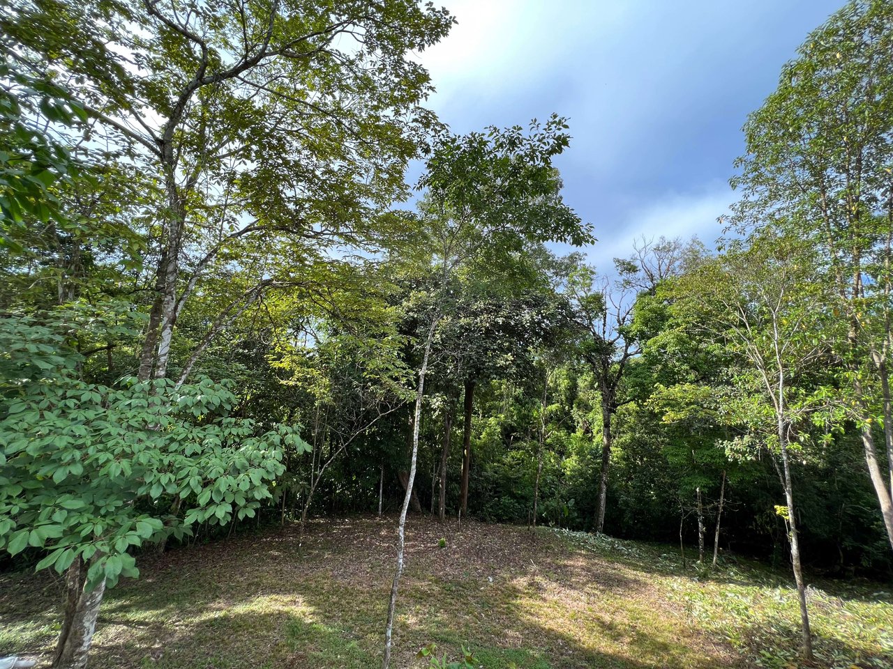  Affordable & Charming 1 bedroom Villa with Pool in gated community, immersed in the rainforest close to Quepos  