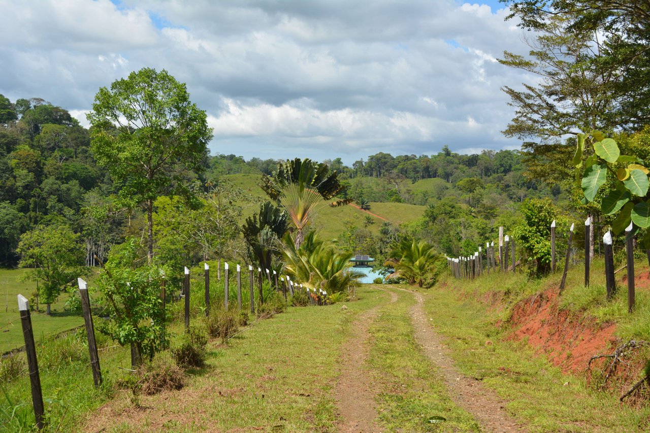 Osa Peninsula Magic 