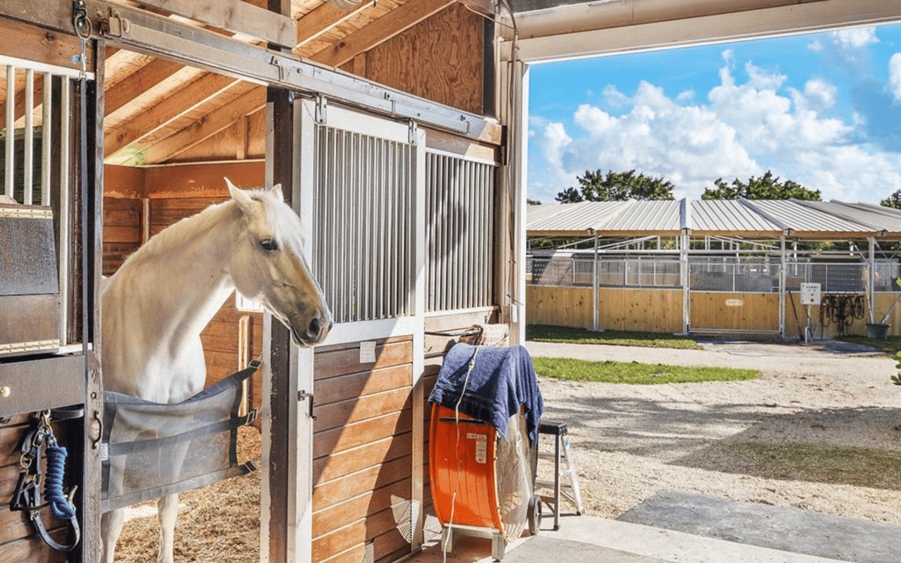 Living in Wellington: A Slice of Equestrian Paradise in Florida