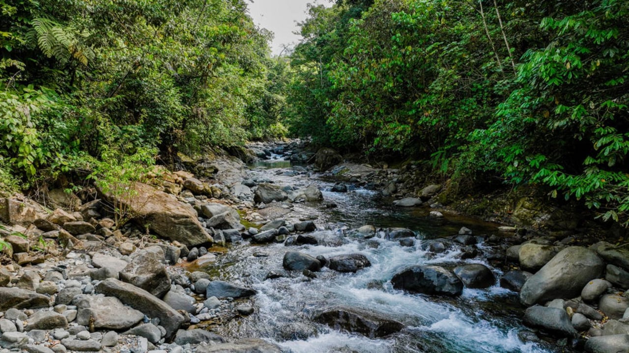 Waterfall Riverfront View Land, Uvita, Puntarenas