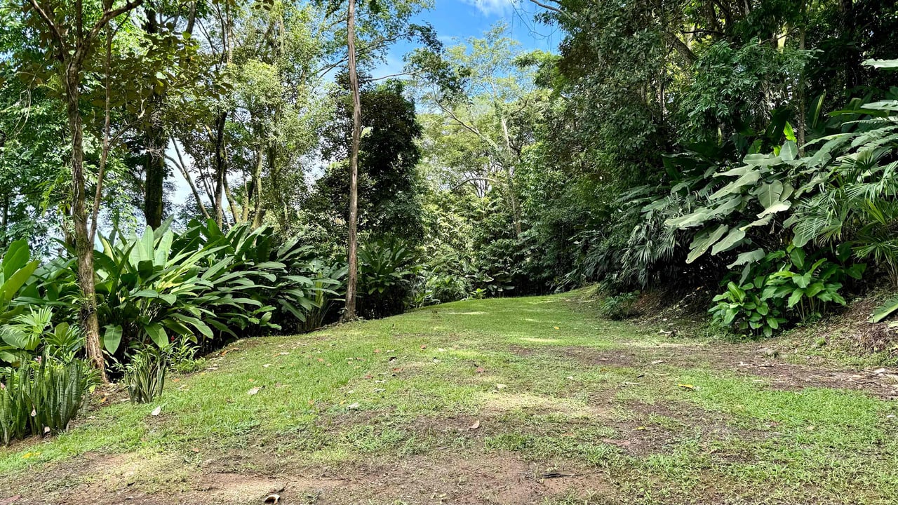 BEST OCEAN VIEW LOT Including WHALE TAIL BEACH, CAÑO ISLAND and other ISLANDS!