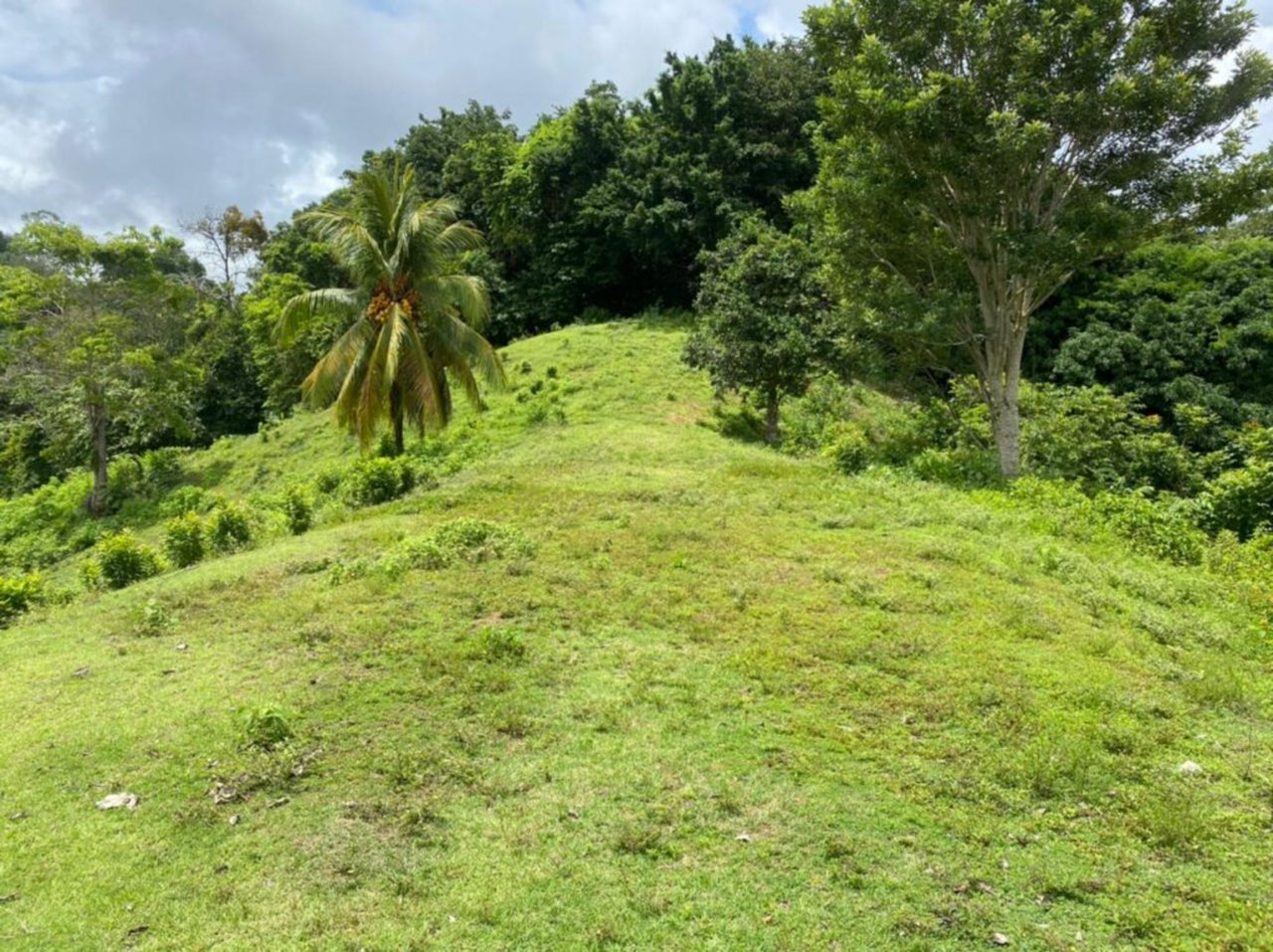 Prime Development Homesite, Manuel Antonio, Puntarenas