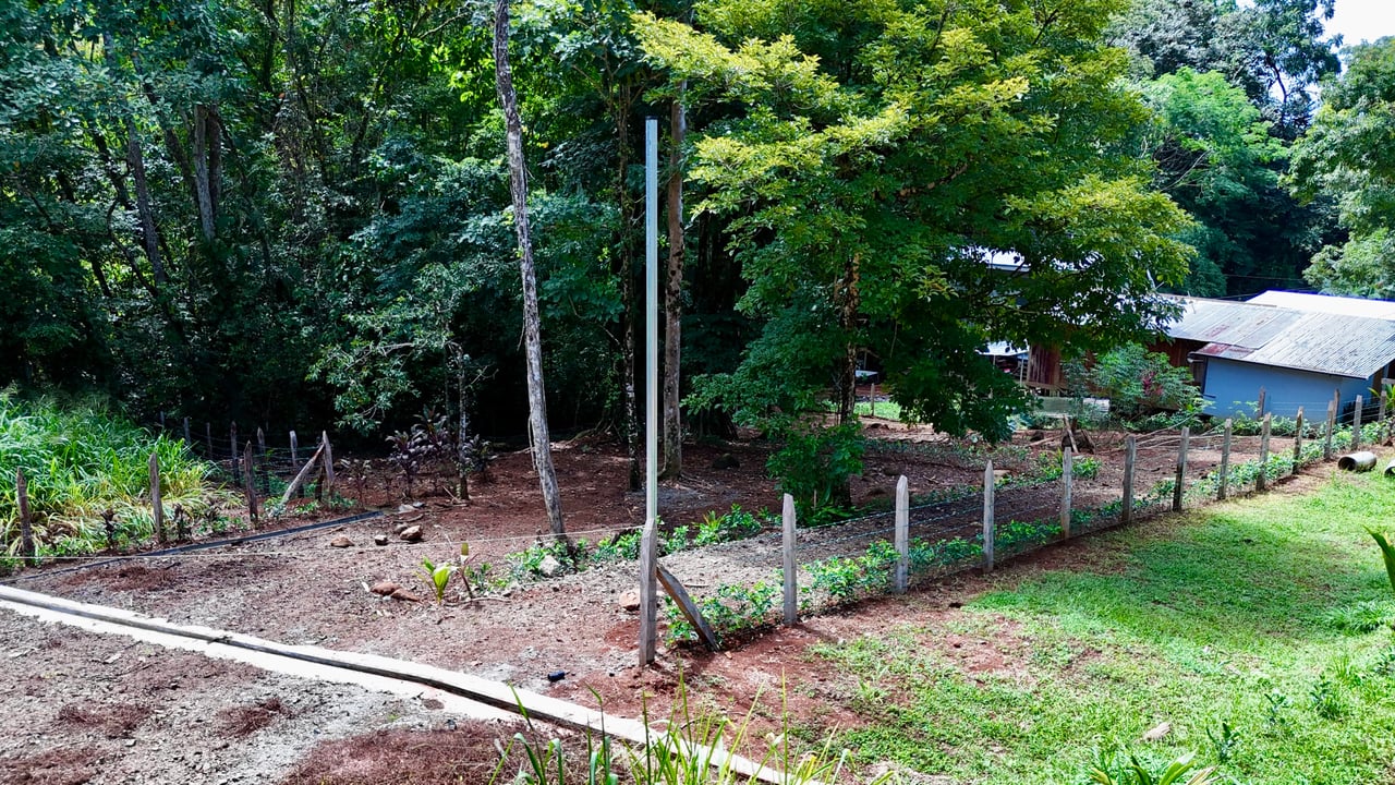 Jungle Side Lots in Uvita, Walking Distance to Amenities