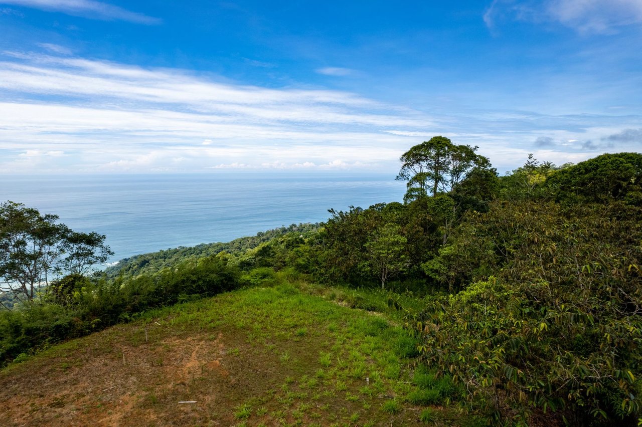 Prime Ocean View Lot, Dominical, Puntarenas