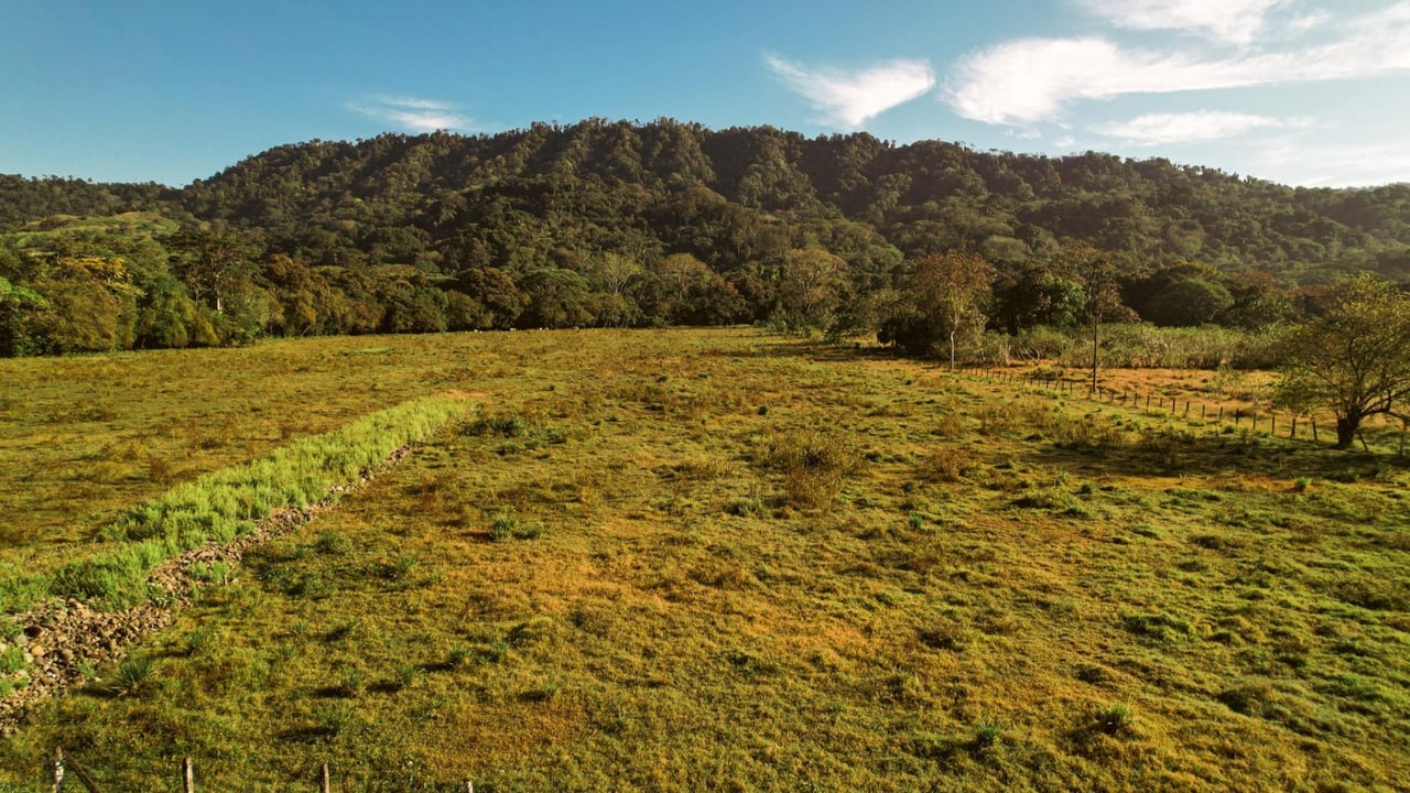 Highway Frontage Commercial Land, Manuel Antonio, Puntarenas